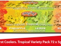 awe-tropical-coolers